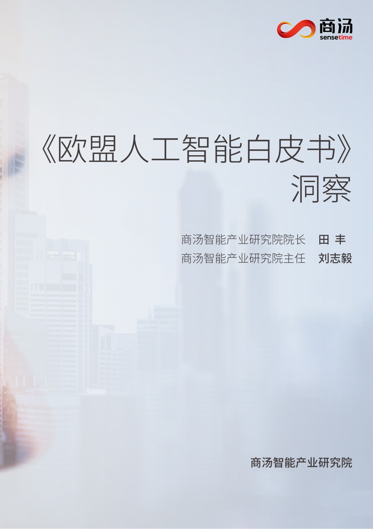 EU AI White Paper Interpretation